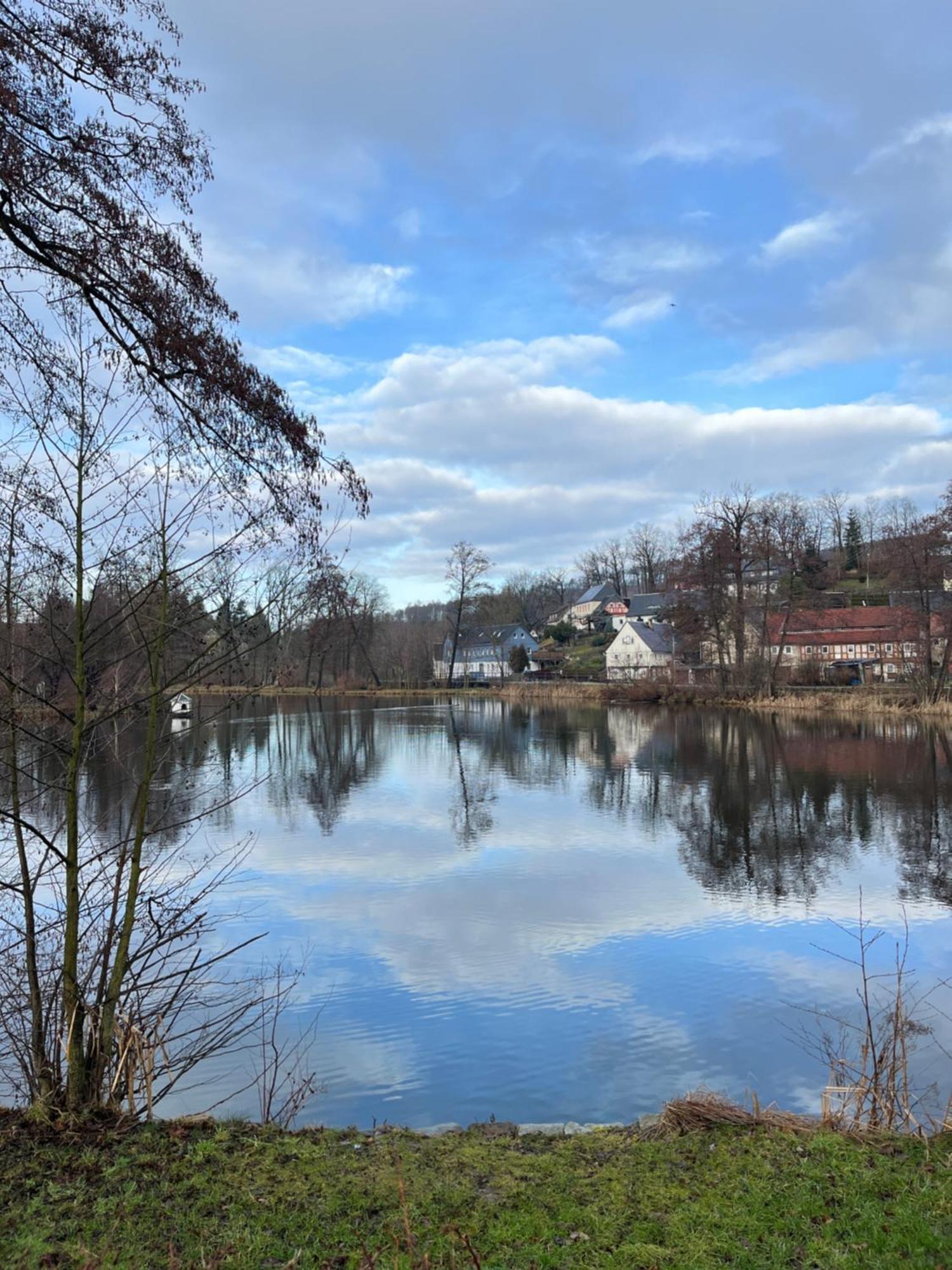Ferienwohnung Idyll Am Weigsdorfer Teich Cunewalde Екстериор снимка